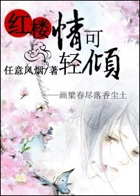 《(红楼同人)红楼情可轻倾》