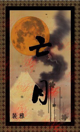 《(柯南同人/柯南吐槽向)亡月》
