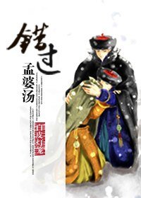 (数字同人)错过孟婆汤(胤禟穿奕忻)