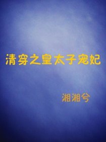 清穿之皇太子寵妃