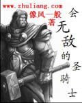 會無敵的聖騎士