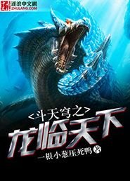 《斗天穹之龙临天下》