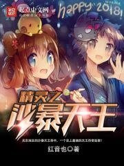 《(寵物小精靈同人)精靈之沙暴天王》