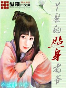 丫鬟的贴身老爷
