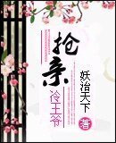 抢亲冷王爷