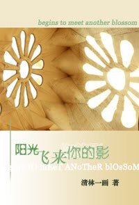 陽光飛來你的影/一路的光影