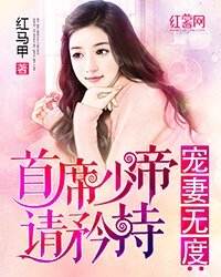 宠妻无度:首席少帝请矜持