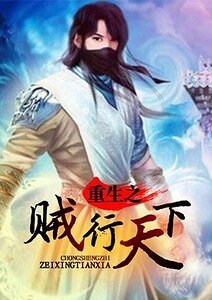 重生之贼行天下