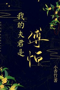 《我的夫君是傅恒(清穿)》