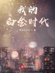《我的白金时代》
