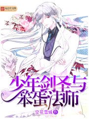 《少年剑圣与笨蛋法师》