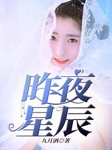 《昨夜星辰》