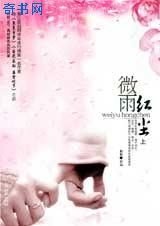 《微雨弘尘》