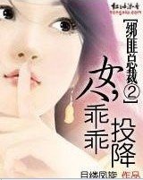 綁匪總裁②:女人,乖乖投降
