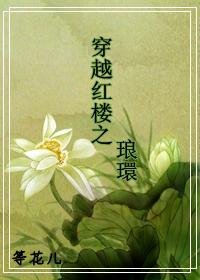 （紅樓夢同人）穿越紅樓之琅環