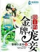《傻王的金牌宠妾》