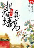 《相府牆真高》
