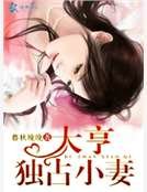 大亨独占小妻