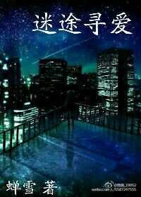 《迷途寻爱》