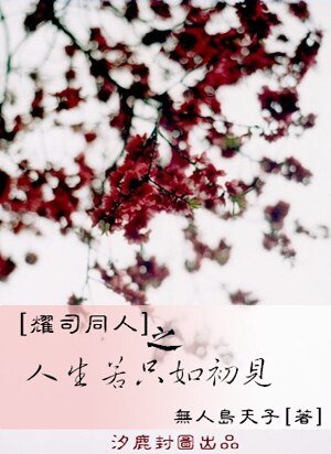 （耀司同人）七天记忆/人生若只如初见
