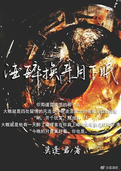 酒醉换来月下眠