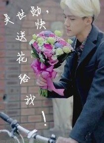 《(韓娛同人)韓娛之吳世勳,快送花給我!》