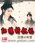 (红楼同人)红楼折钗记