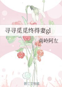 寻寻觅觅终得妻gl