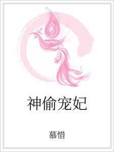 神偷宠妃