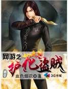 《網遊之護花盜賊》