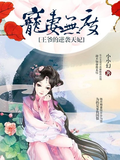 宠妻无度:王爷的逆袭天妃