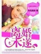 《離婚未遂》