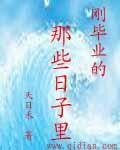刚毕业的那些日子里