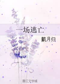《一場逃亡》