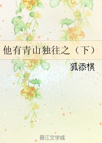 他有青山獨往之(下)
