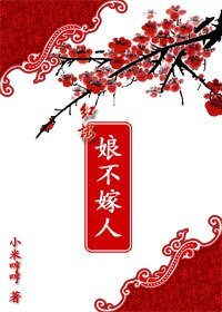 《(红楼同人)娘不嫁人》