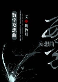 《(綜小說同人)數字妄想曲》
