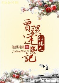《(紅樓同人)紅樓之賈環逆襲記》