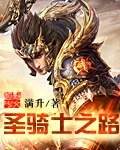 《圣骑士之路》