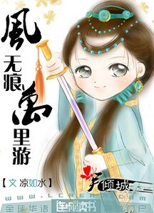 《风无痕万里游》