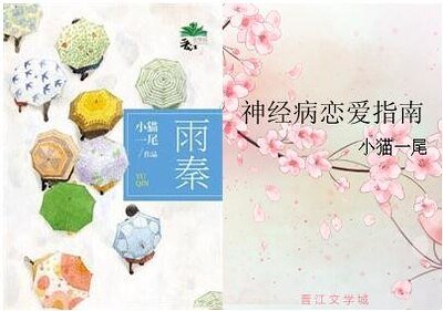 《雨秦/神經病戀愛指南》