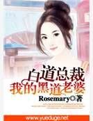 白道首席:我的黑道老婆