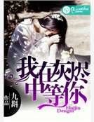《我在灰烬中等你》