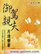 《御驾亲夫》