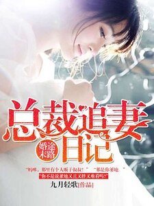 婚途末路:总裁追妻日记