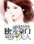 《追妻不容易:獨愛豪門夫人》