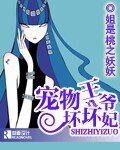 宠物王爷胡胡妃