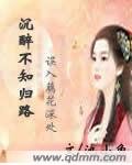 沉醉不知归路