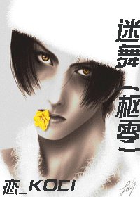 (吸血鬼骑士同人)迷舞