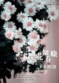 《(網遊)苒苒梨花知春曉》